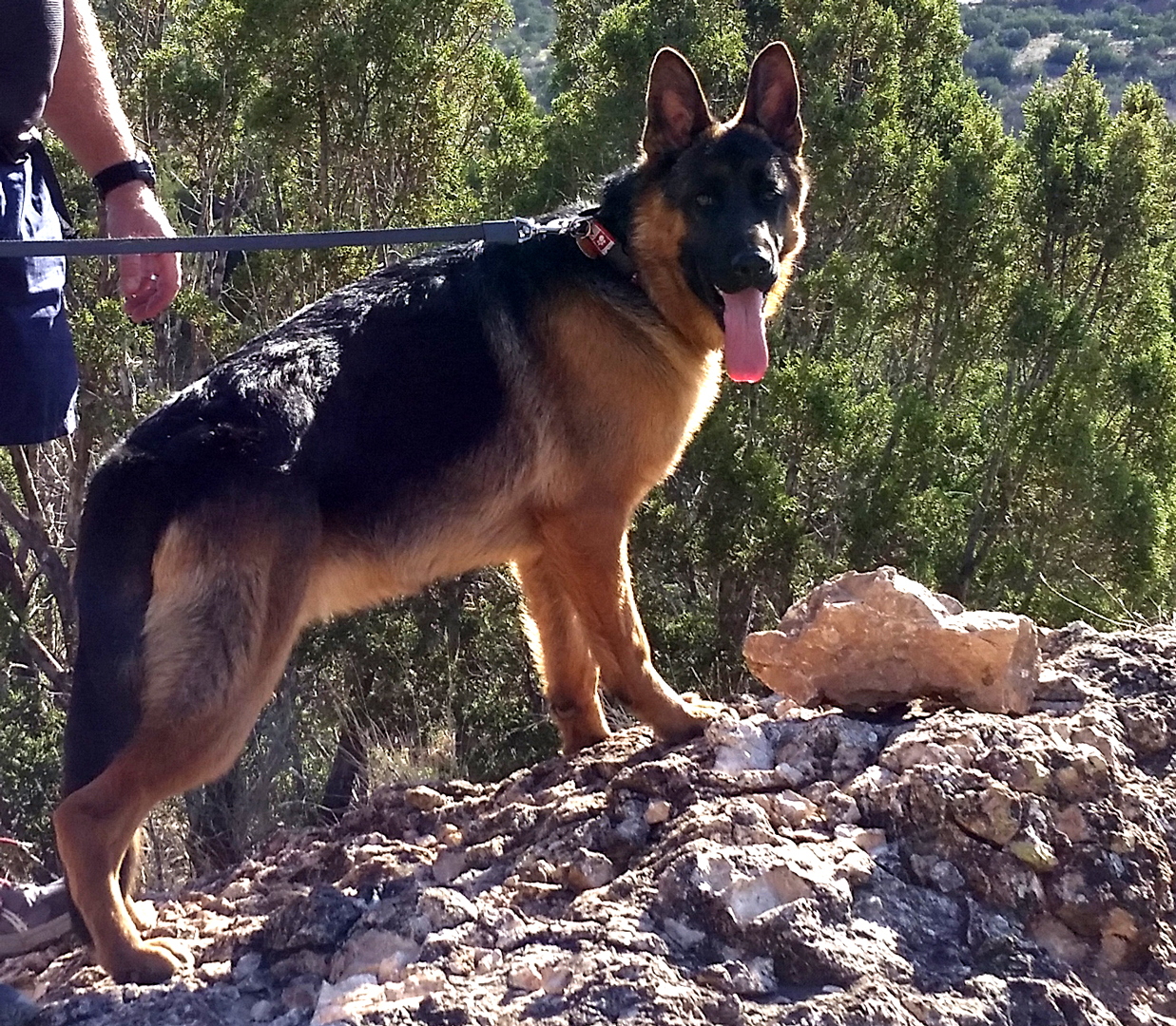 photo: Jäger at Palo Duro Canyon State Park.