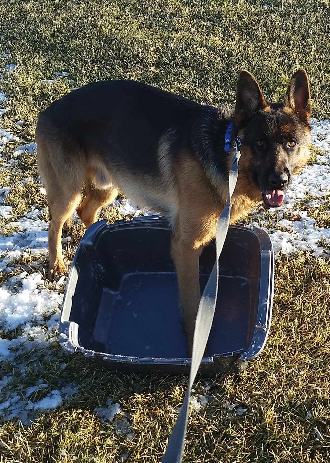 photo: Jäger and Box.