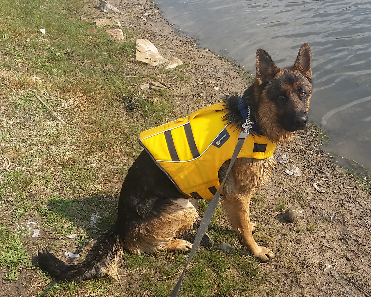 photo: Jäger ready for kayaking in his new PFD.