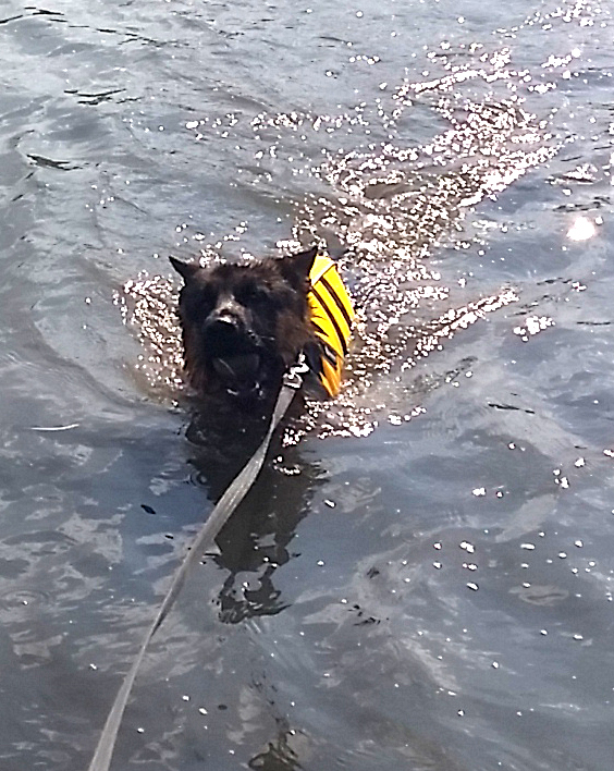 photo: Jäger loves to swim.