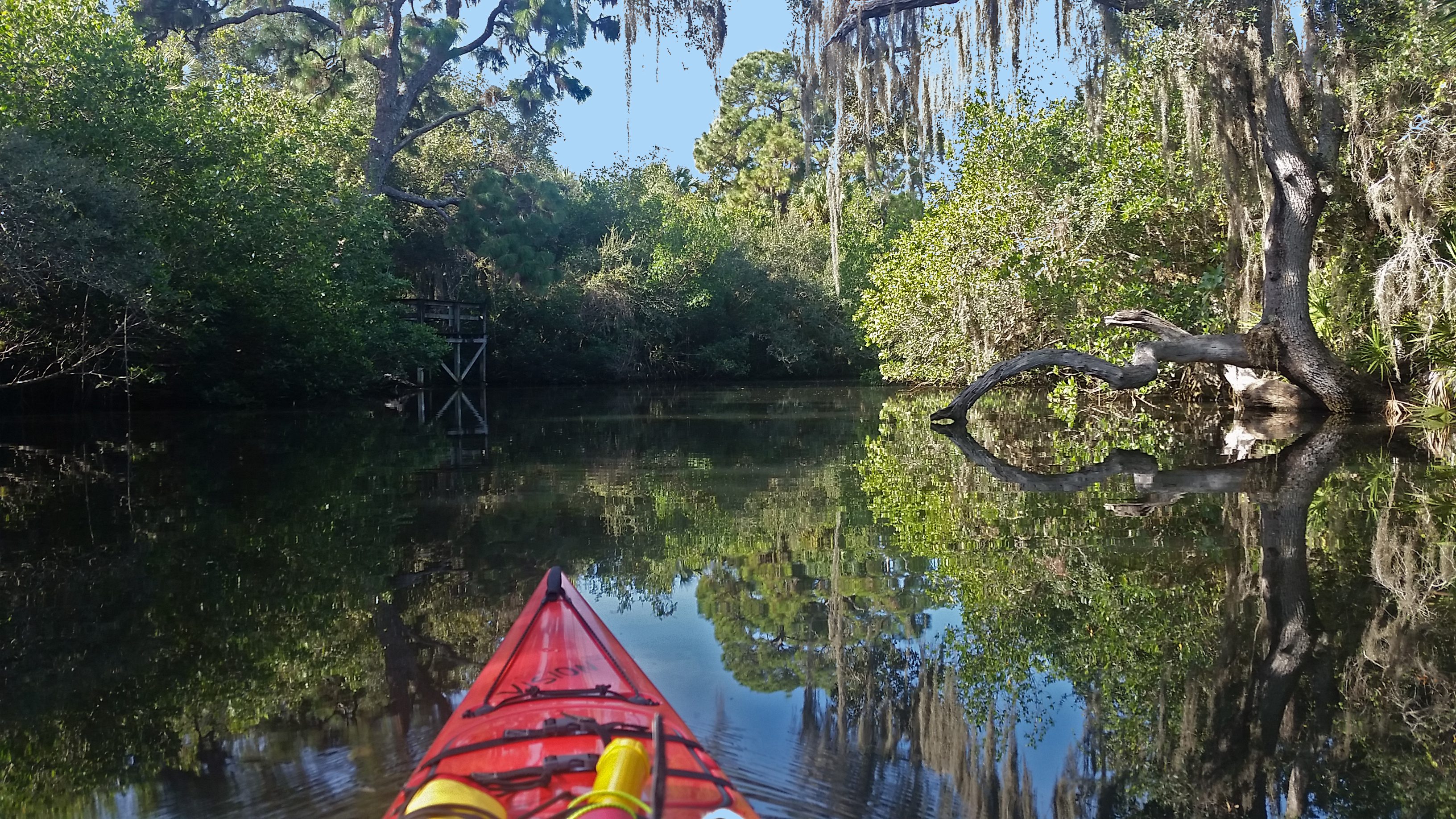 Kayaking the Estero River.