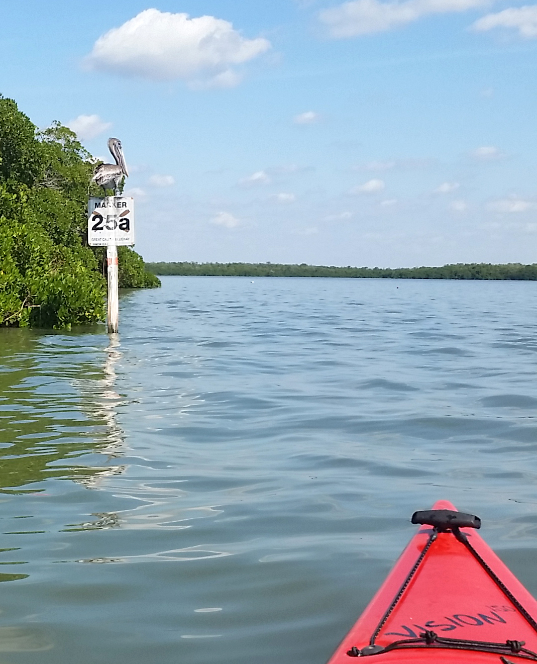 photo: The signs along The Great Calusa Blueway are decorated with brown pelicans.